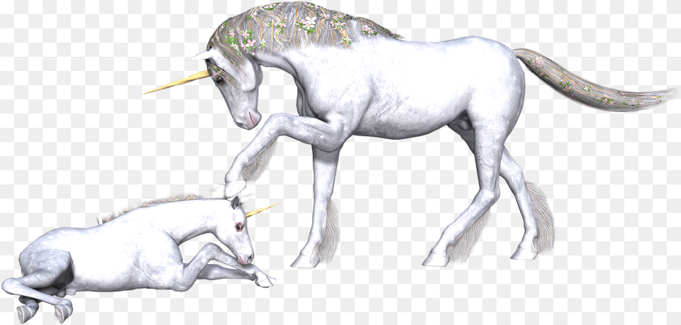 Unicorns Unicorn, Animal, Antelope, Mammal, Wildlife Png