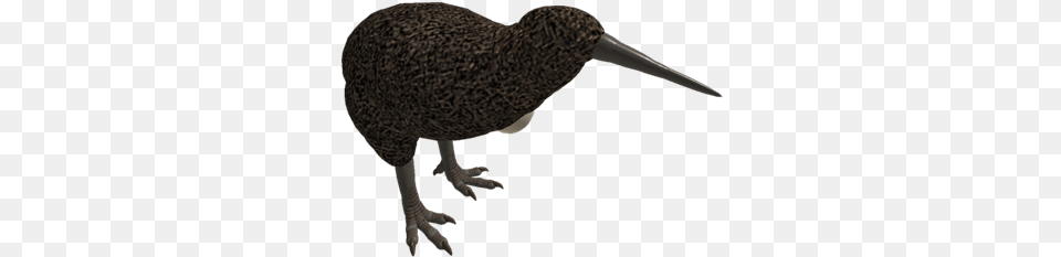 Unioned Kiwi Bird U0026 Egg Roblox Hummingbird, Animal, Kiwi Bird, Beak Png