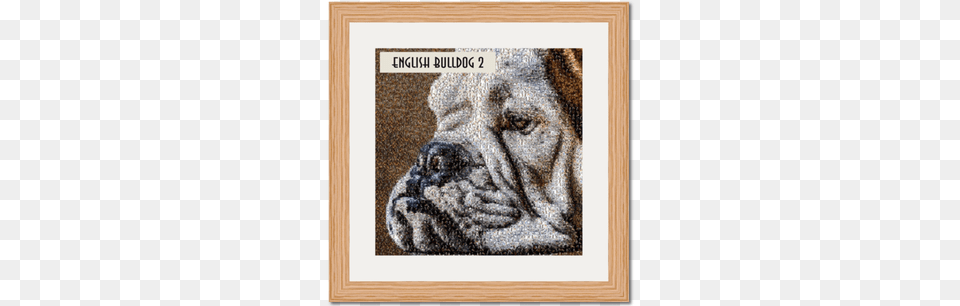 Unique English Bulldog Art Work Original Gifts Bespoke Art, Animal, Canine, Mammal, Dog Png