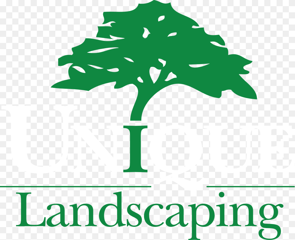 Unique Landscaping Brandscaping Unleashing The Power Of Partnerships, Leaf, Plant, Tree, Oak Free Transparent Png