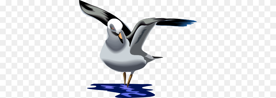 Unique Seagull Clipart Seagull Clip Art Vector Illustrations, Animal, Bird, Waterfowl, Smoke Pipe Free Transparent Png