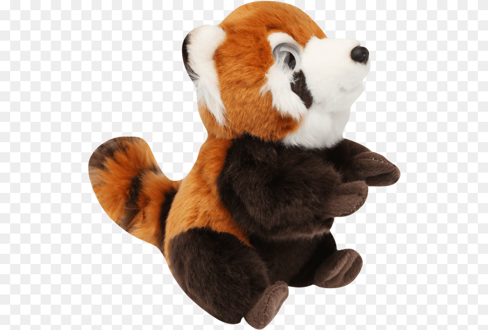 Unisex Red Panda Soft Toy Stuffed Toy, Plush, Animal, Cat, Mammal Free Png Download