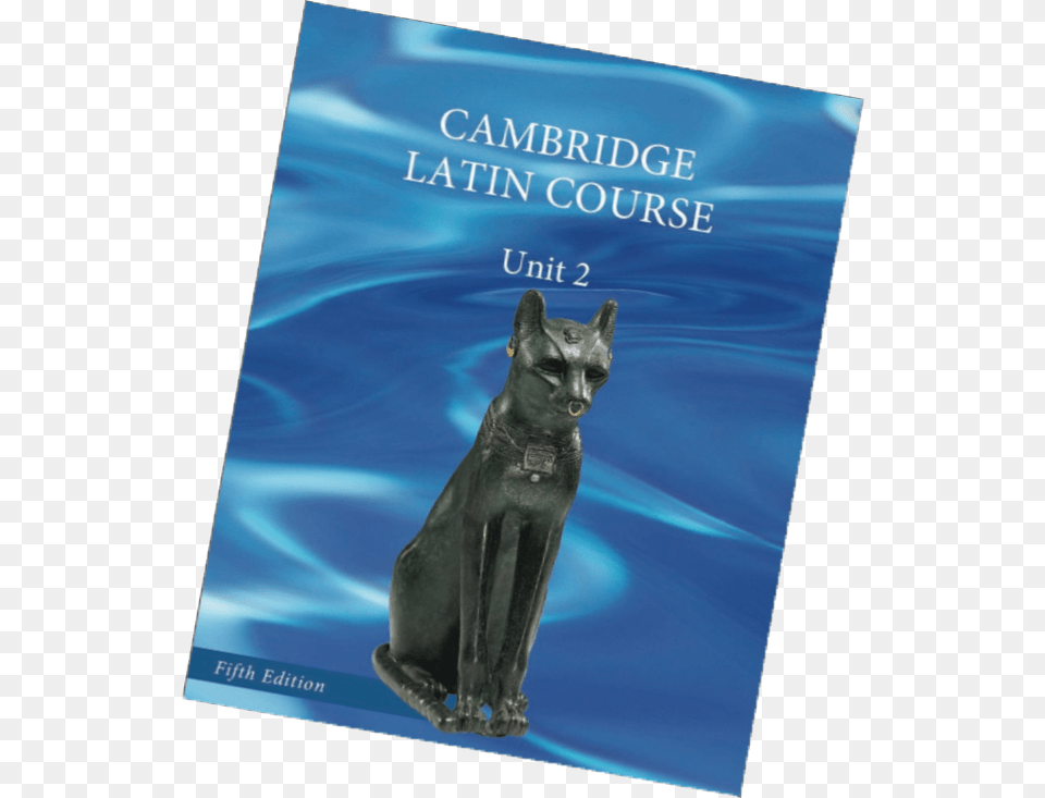Unit 2 5th Edition Cover Domestic Short Haired Cat, Animal, Mammal, Pet, Canine Png Image