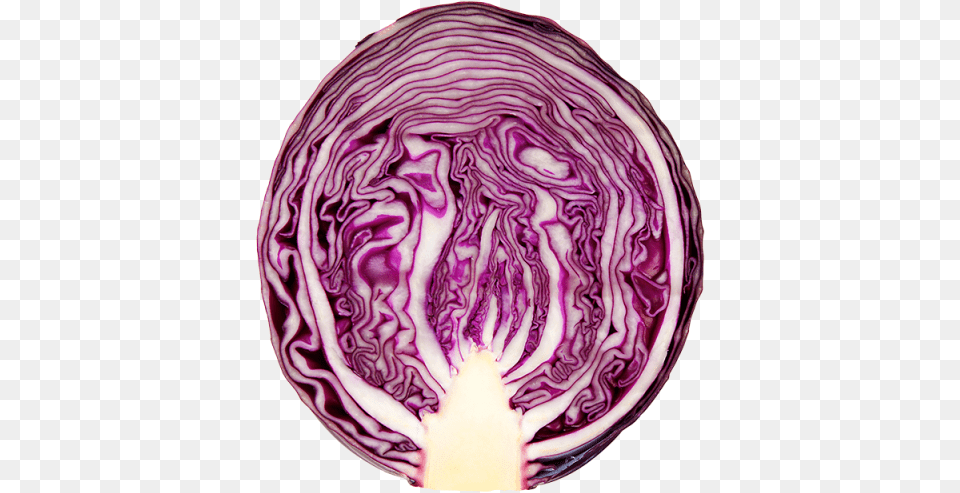 Unit Red Cabbage, Food, Leafy Green Vegetable, Plant, Produce Free Transparent Png