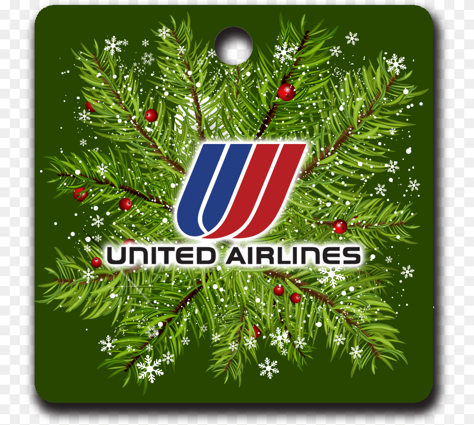 United Airlines Tulip Logo Ornaments, Conifer, Plant, Tree, Fir Png Image