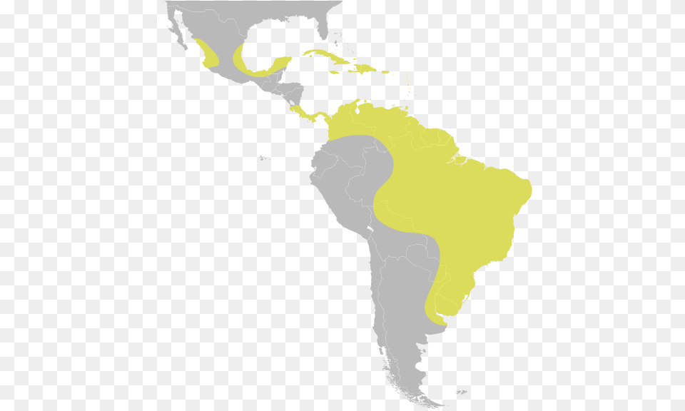 United Central Subregion States Latin America South South America Called Latin America, Plot, Chart, Map, Adult Free Png