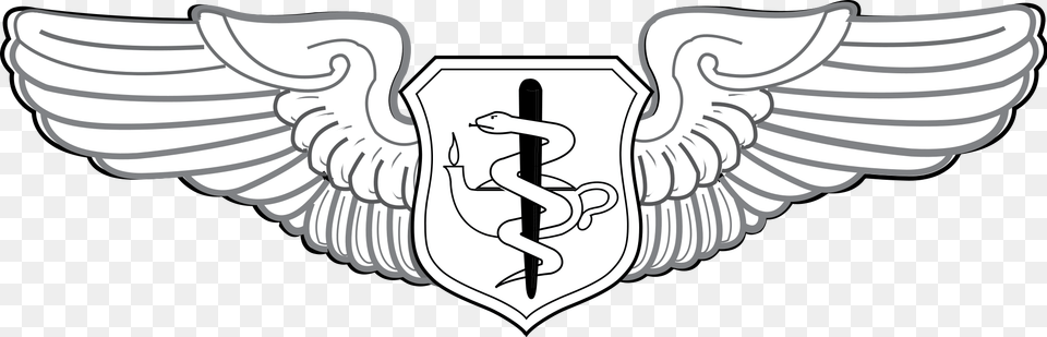 United States Air Force Flight Nurse Badge Senior Enlisted Aircrew Wings, Emblem, Symbol Png Image