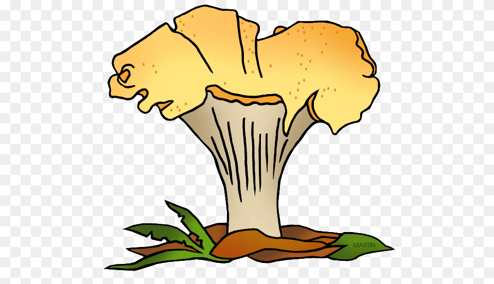 United States Clip Art, Person, Fungus, Plant, Mushroom Free Transparent Png