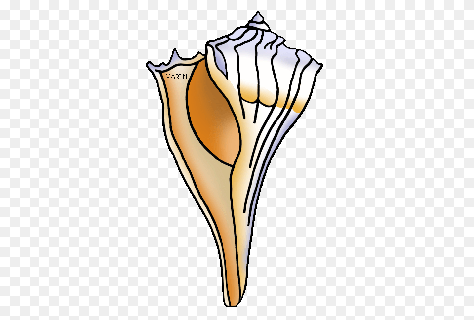 United States Clip Art, Animal, Invertebrate, Sea Life, Seashell Png