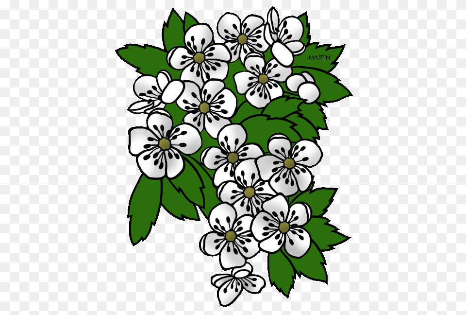 United States Clip Art, Floral Design, Graphics, Pattern, Flower Free Transparent Png