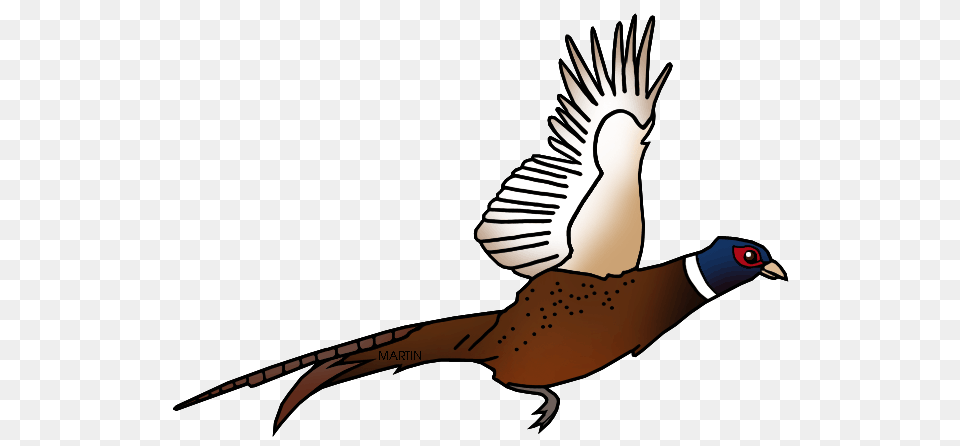 United States Clip Art, Animal, Bird, Pheasant Png Image