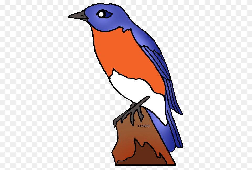 United States Clip Art, Animal, Bird, Bluebird, Penguin Free Png