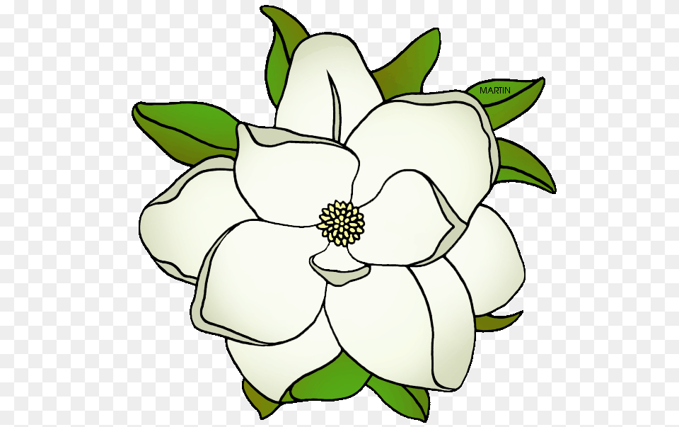 United States Clip Art, Anemone, Flower, Plant, Petal Png Image