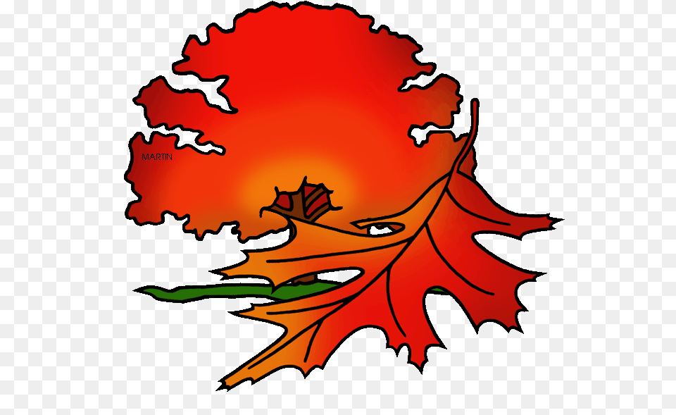 United States Clip Art, Leaf, Plant, Tree, Maple Leaf Free Png