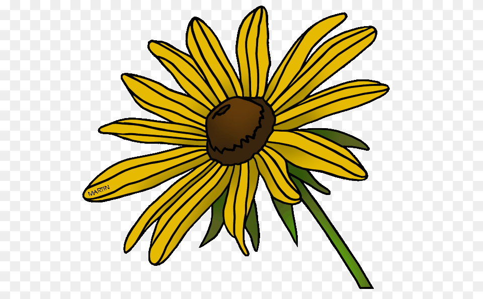 United States Clip Art, Daisy, Flower, Plant, Sunflower Free Png