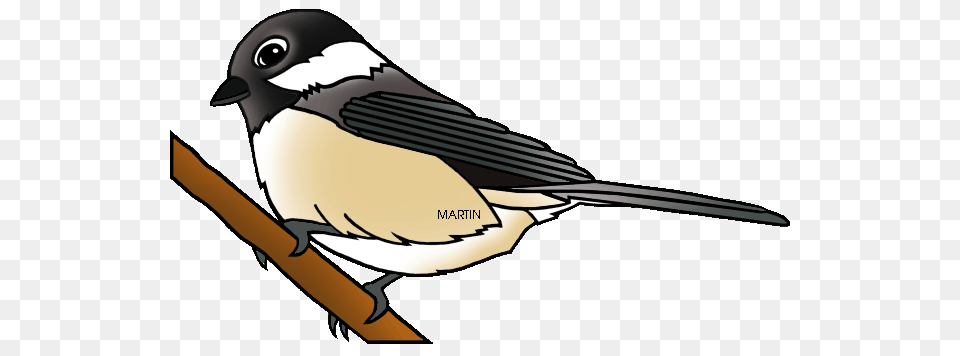 United States Clip Art, Animal, Bird, Finch, Aircraft Free Png