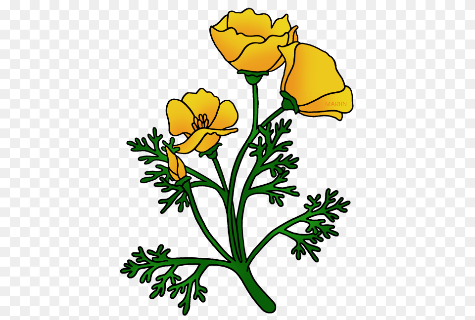 United States Clip Art, Flower, Plant Png