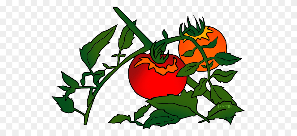 United States Clip Art, Food, Plant, Produce, Tomato Free Png