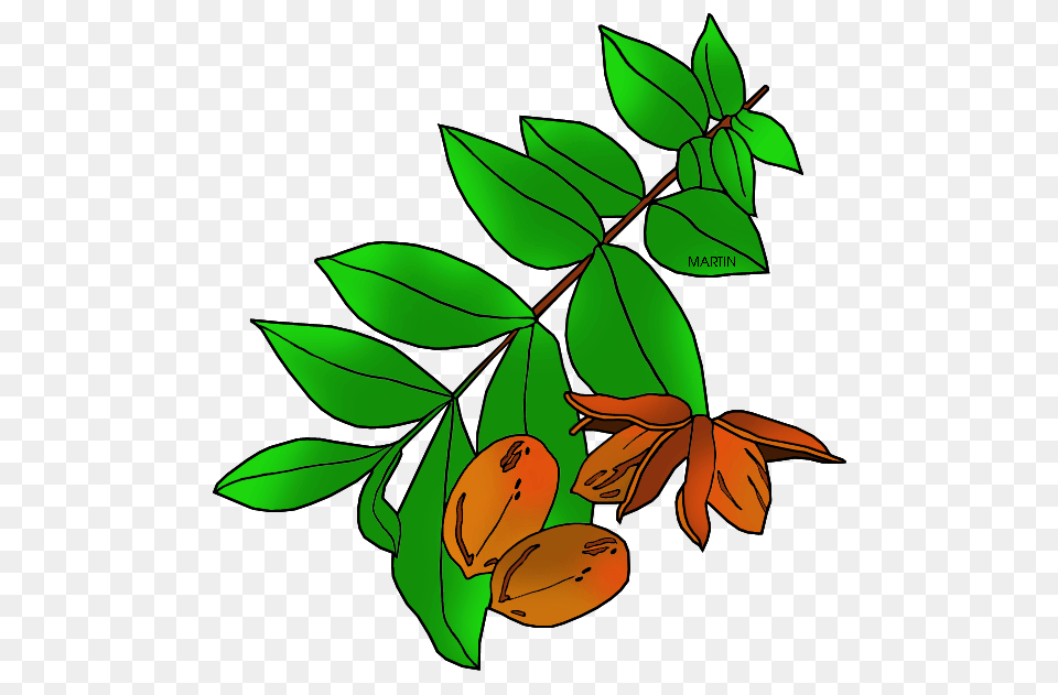 United States Clip Art, Leaf, Plant, Herbal, Herbs Free Png