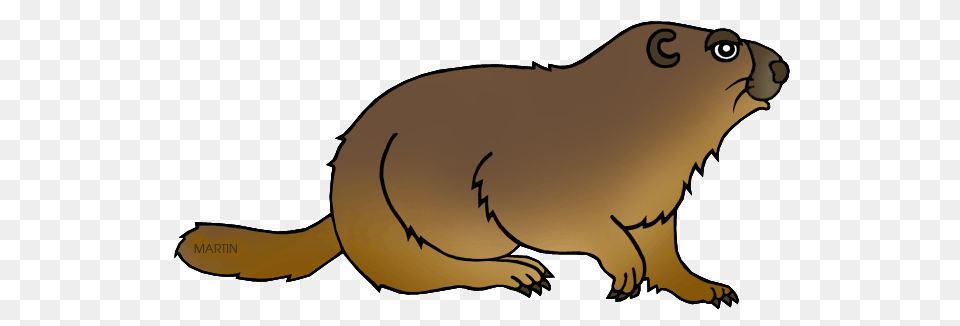 United States Clip Art, Animal, Mammal, Beaver, Rodent Free Png Download