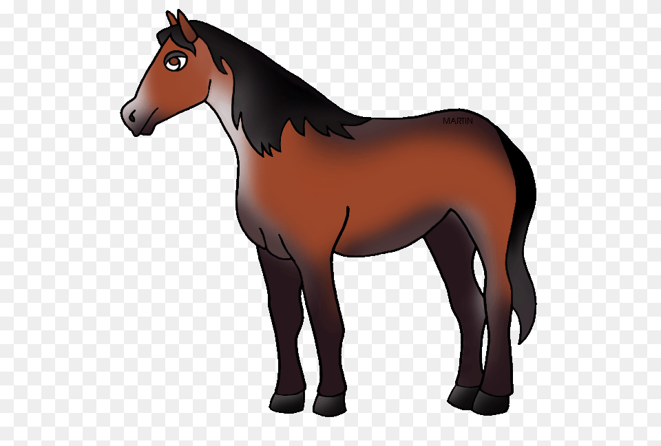 United States Clip Art, Animal, Colt Horse, Horse, Mammal Free Transparent Png