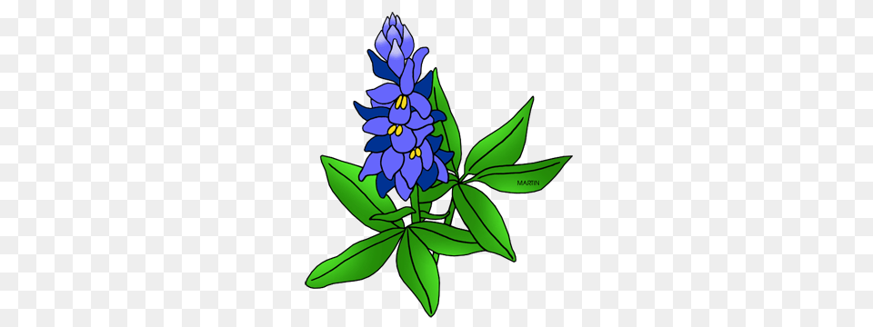 United States Clip Art, Flower, Plant, Floral Design, Graphics Png Image