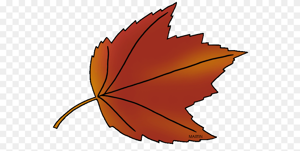 United States Clip Art, Leaf, Plant, Tree, Maple Leaf Free Png Download