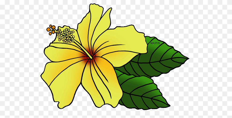 United States Clip Art, Flower, Leaf, Plant, Hibiscus Free Transparent Png