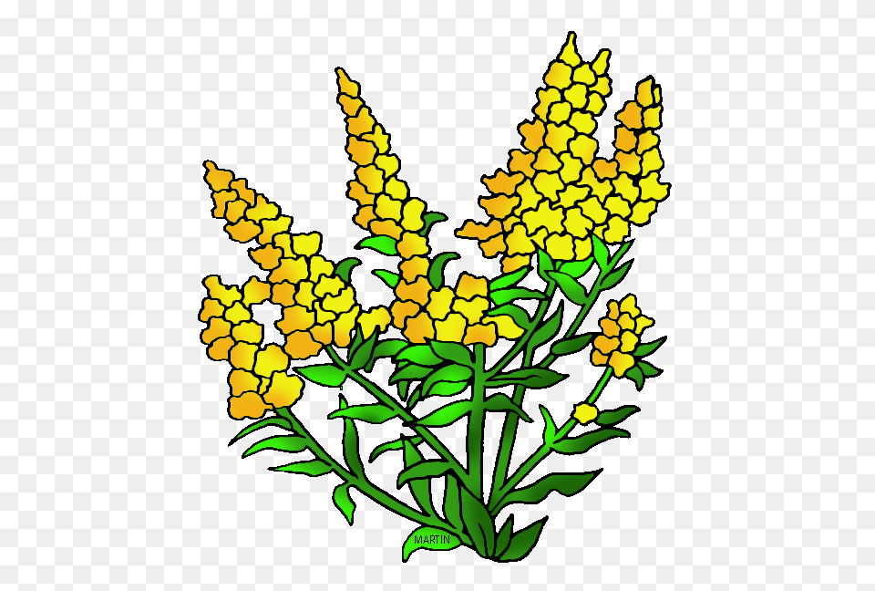 United States Clip Art, Flower, Leaf, Plant, Lupin Png