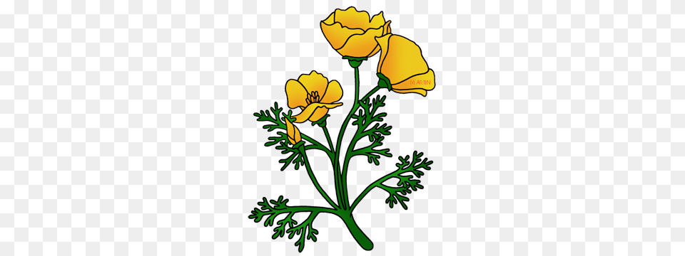 United States Clip Art, Flower, Plant, Daffodil Free Png