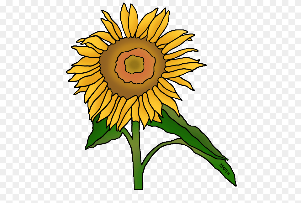 United States Clip Art, Flower, Plant, Sunflower Png Image