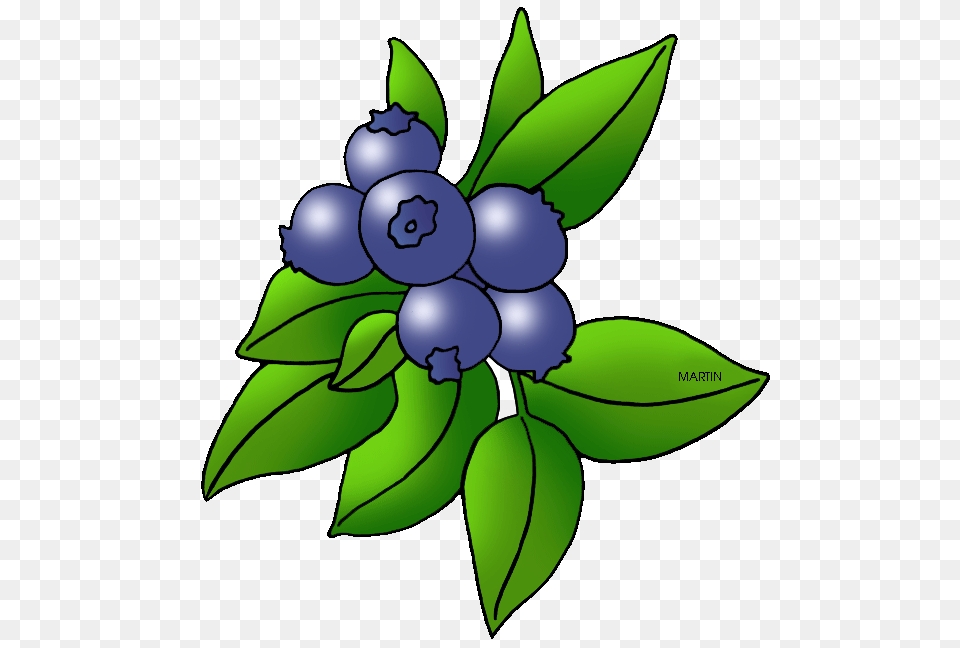 United States Clip Art, Fruit, Berry, Blueberry, Food Free Png Download