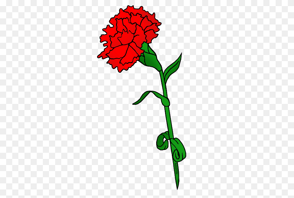 United States Clip Art, Carnation, Flower, Plant, Person Free Png Download