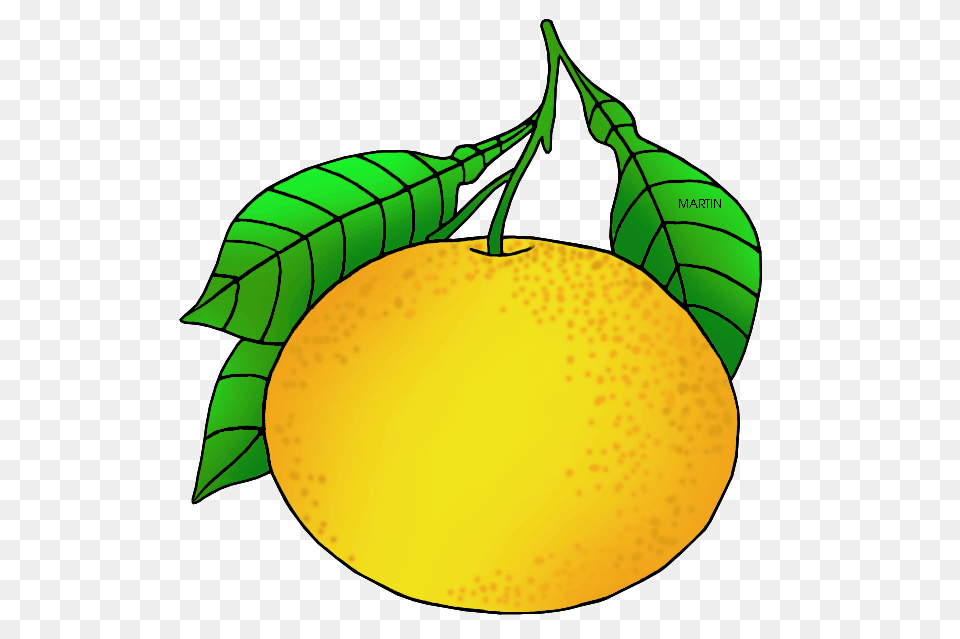 United States Clip Art, Citrus Fruit, Food, Fruit, Plant Png Image