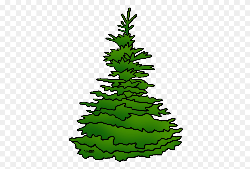 United States Clip Art, Fir, Pine, Plant, Tree Free Png