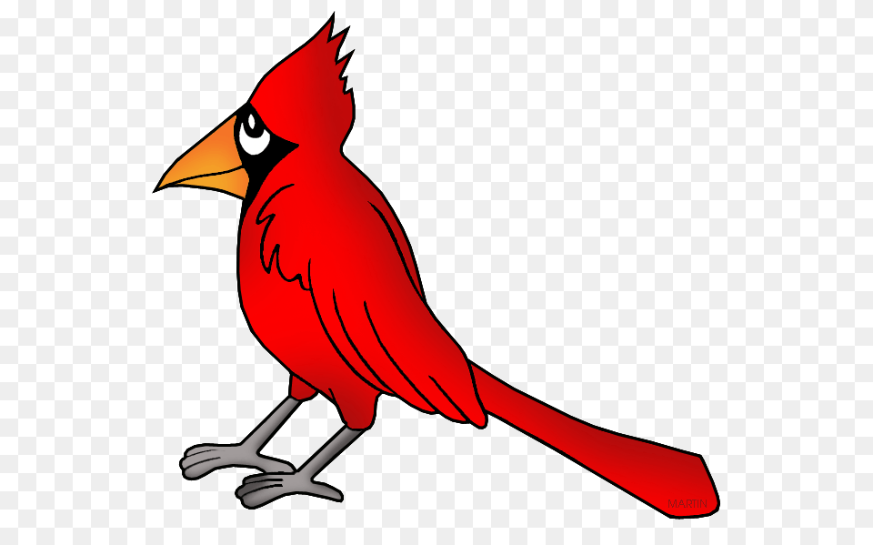 United States Clip Art, Animal, Beak, Bird, Cardinal Png
