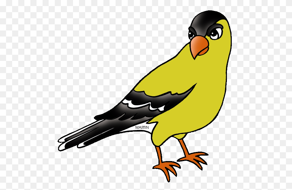 United States Clip Art, Animal, Bird, Finch, Beak Free Png Download