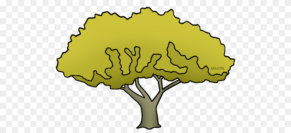 United States Clip Art, Plant, Tree, Person Free Png Download