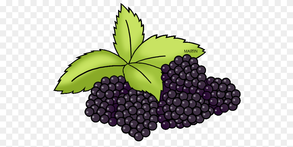 United States Clip Art, Berry, Food, Fruit, Plant Free Transparent Png