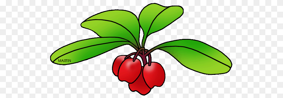 United States Clip Art, Produce, Plant, Leaf, Fruit Free Png
