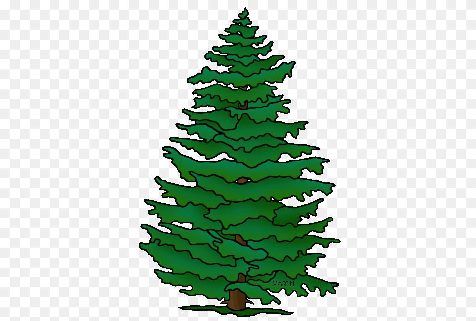United States Clip Art, Fir, Pine, Plant, Tree Free Png Download