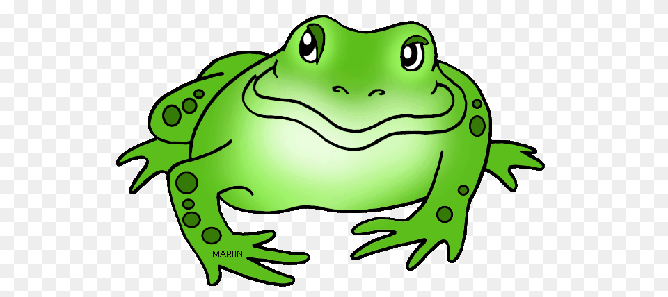United States Clip Art, Amphibian, Animal, Frog, Wildlife Png