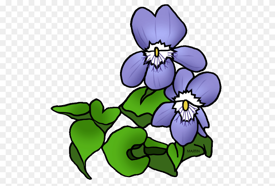 United States Clip Art, Flower, Plant, Baby, Person Png