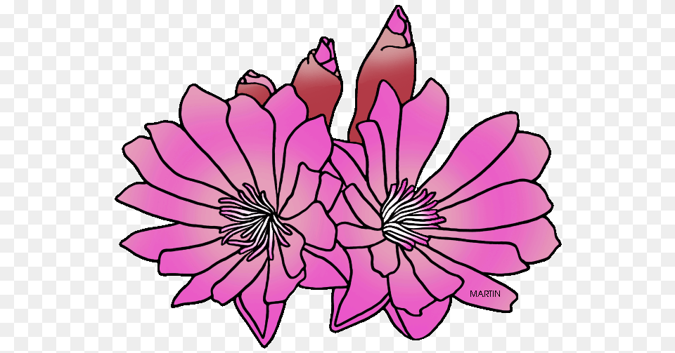 United States Clip Art, Anther, Plant, Flower, Petal Free Transparent Png