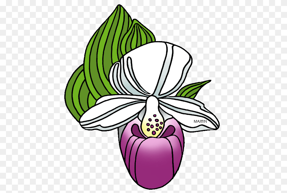 United States Clip Art, Flower, Orchid, Plant, Animal Free Png