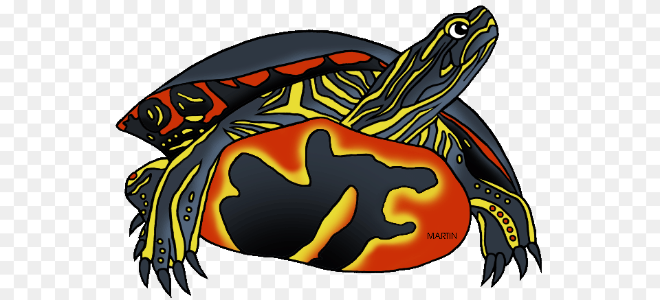 United States Clip Art, Animal, Reptile, Sea Life, Tortoise Png