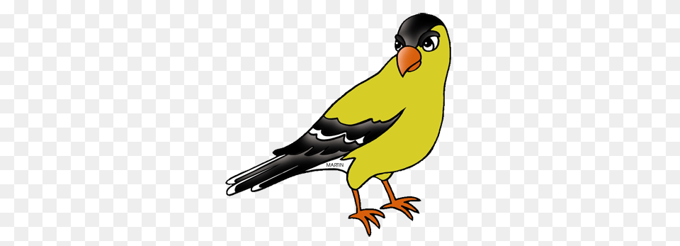 United States Clip Art, Animal, Bird, Finch, Canary Png
