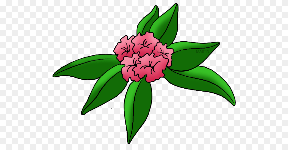 United States Clip Art, Carnation, Flower, Plant, Dahlia Free Png