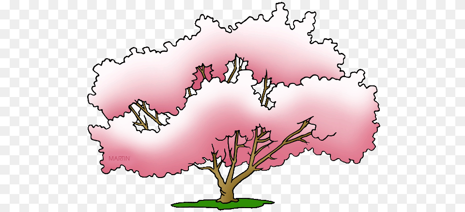 United States Clip Art, Flower, Plant, Tree, Cherry Blossom Free Transparent Png