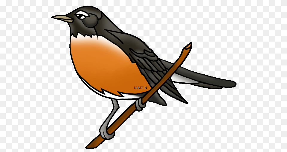 United States Clip Art, Animal, Bird, Robin, Fish Free Png